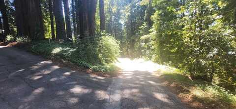 1080 Blue Ridge DR, BOULDER CREEK, CA 95006