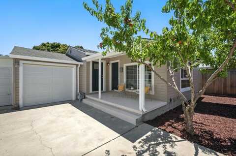480 Raymond AVE, SAN JOSE, CA 95128