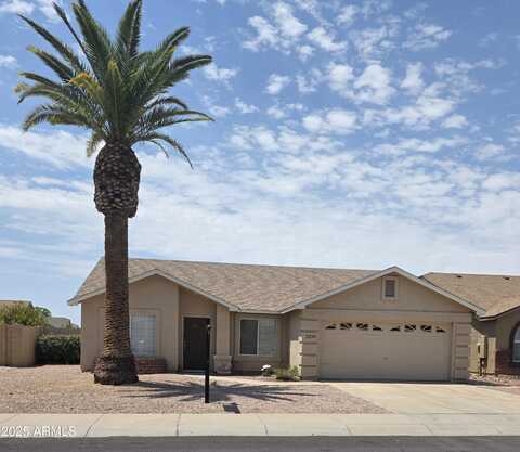 2293 E LONGHORN Place, Chandler, AZ 85286