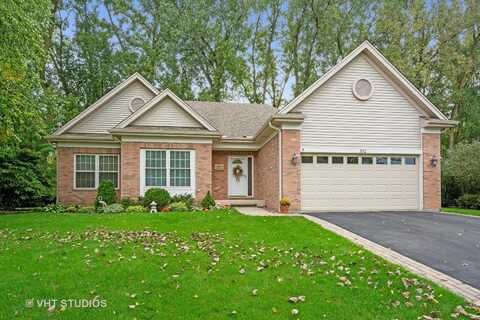 332 Oak Grove Circle, Wauconda, IL 60084