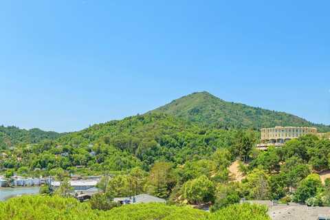 175 Upper Via Casitas Way, Greenbrae, CA 94904