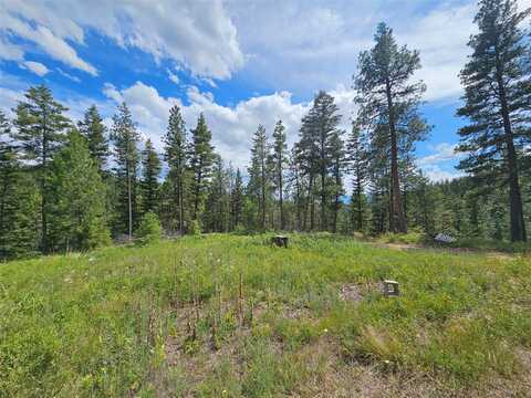 NHN Buckboard Lane, Florence, MT 59833