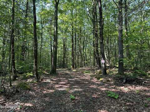 0 Cronk Rd, Sandisfield, MA 01255