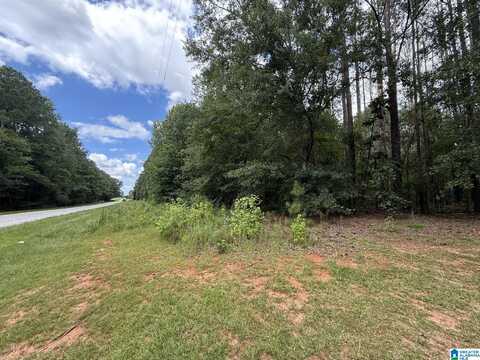 Tract 3 COUNTY ROAD 103, WOODLAND, AL 36280
