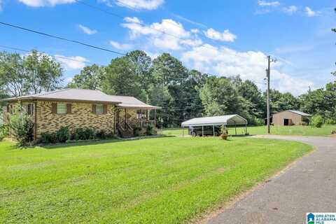 1325 REDS ROAD, BESSEMER, AL 35022