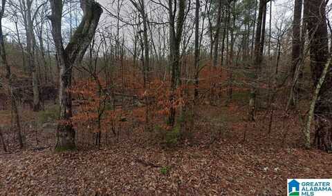 0 LOW GAP ROAD, NEW HOPE, AL 35760