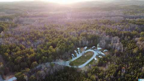 612 COUNTY ROAD 30, CRAGFORD, AL 36255