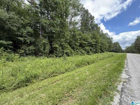 Tract 2 COUNTY ROAD 103, WOODLAND, AL 36280