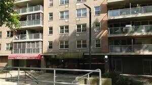 240 Cozine Avenue, Brooklyn, NY 11207