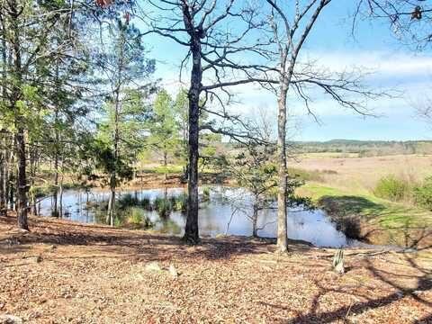 820 Blow Out Mtn. Road, Pencil Bluff, AR 71965