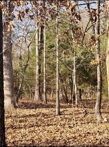 41 Winnebago, Cherokee Village, AR 72529