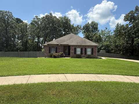 8705 Wingate Drive, Benton, AR 72019
