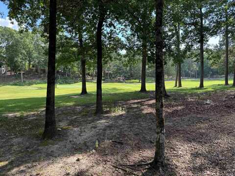 16 PONCE DE LEON CIRCLE, Hot Springs Village, AR 71909