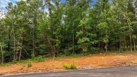 19 Sky Eagle Drive, Greenbrier, AR 72058