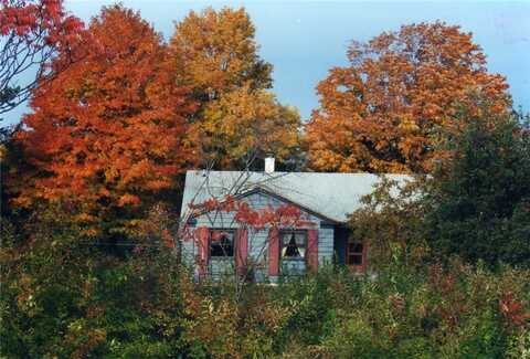 102 Turkey Hill Road, Dryden, NY 14850