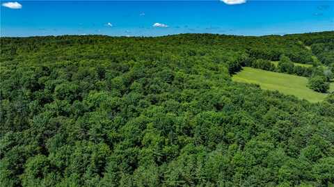 Lower Ravine Road, Norwich, NY 13815