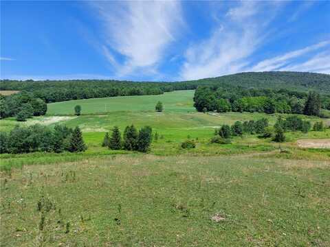 834 Crescent Valley Road, Bovina, NY 13740