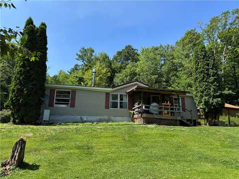 1485 Patent Line Road, Sidney, NY 13775