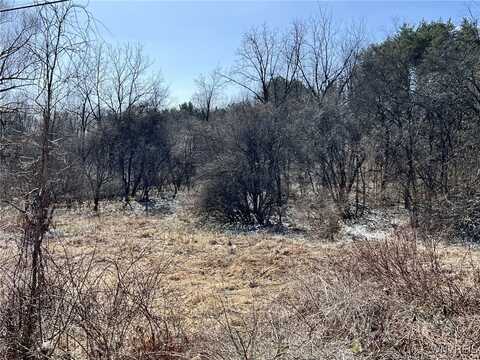 0 W Seneca Lot 2 Road, Hector, NY 14886