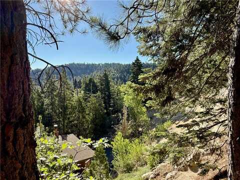 872 Sierra Vista Drive, Twin Peaks, CA 92391