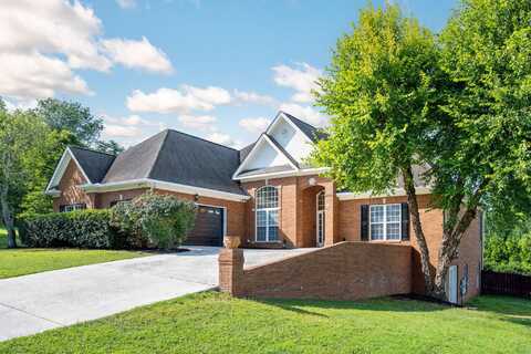9836 Leslie Sandidge Drive, Ooltewah, TN 37363