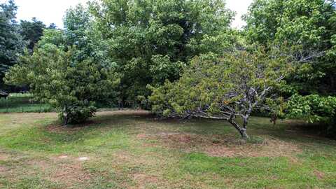 0 Pikes Drive, Trenton, GA 30752