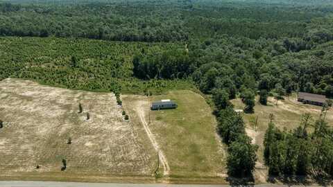 97 MILL POND ROAD, BUENA VISTA, GA 31803