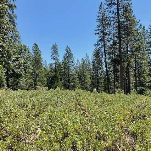 1943 Lightning Lane, Arnold, CA 95223