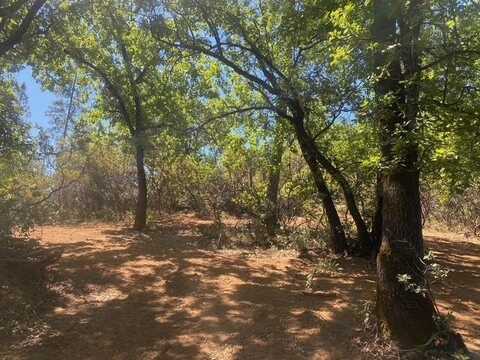 1636-1663 Nickerson Lane, Murphys, CA 95247