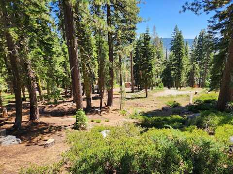1328 Summit View Drive, Tamarack, CA 95223