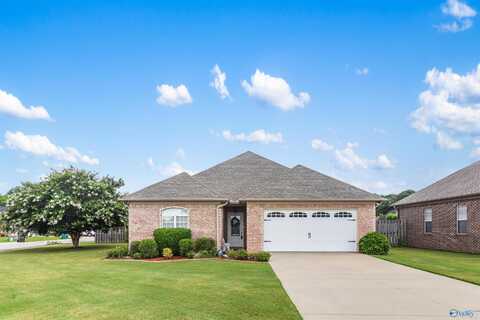 103 Glen Oaks Circle, Glencoe, AL 35905