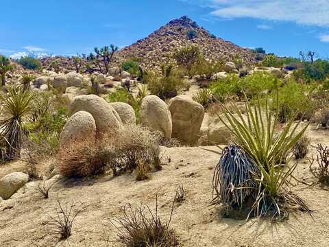 104 Bandera Road, Yucca Valley, CA 92284