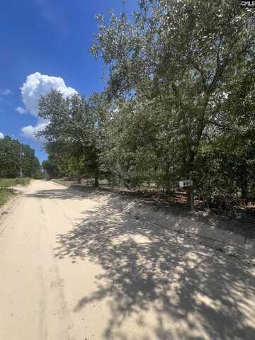 Cassie Road, Leesville, SC 29070