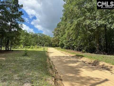 Lot 7 Spiderlily Lane, Saint Matthews, SC 29135