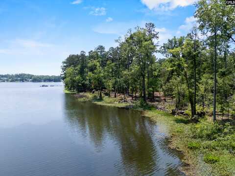 725 Clipper Trail, Chapin, SC 29036