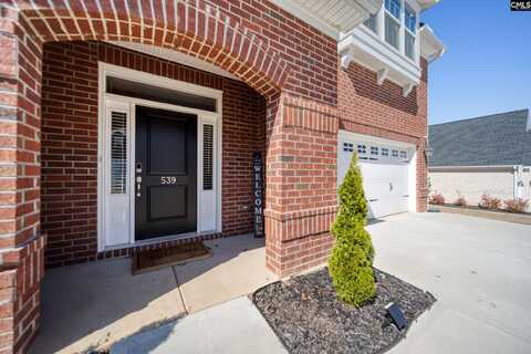 539 Sterling Brook Drive, Lexington, SC 29072