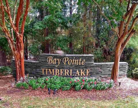 104 Bay Pointe Drive, Chapin, SC 29036