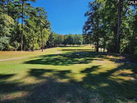 557 Wateroak Trail, Chapin, SC 29036