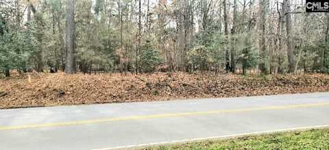 1679 Amicks Ferry Road, Chapin, SC 29036
