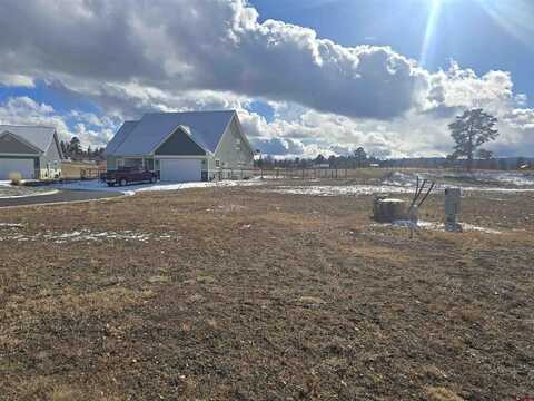 100 Little Pine Lane, Pagosa Springs, CO 81147