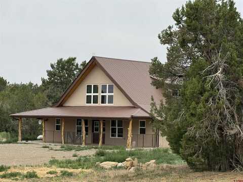 22898 Road 10, Pleasant View, CO 81331