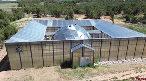 22898 Road 10, Pleasant View, CO 81331