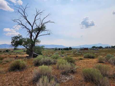 TBD Road P, Mancos, CO 81328