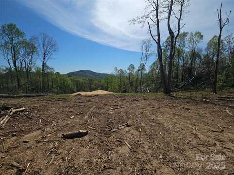 620 Dancing Bear Drive unit: 195, Hendersonville, NC 28792