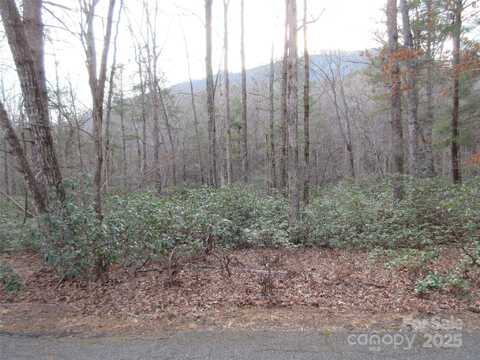 Huntington Road lot: 50, Lake Lure, NC 28746