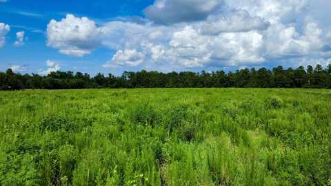 01 S Hwy 15 South, Saint George, SC 29477