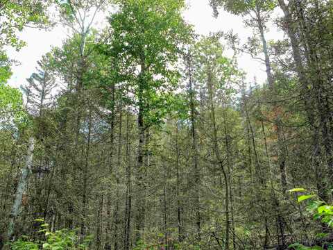 xxx The Grade, Lutsen, MN 55612