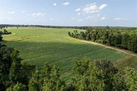 00 County Road 2180, Grapeland, TX 75844
