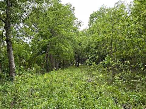 24200 County Road, Roxton, TX 75477