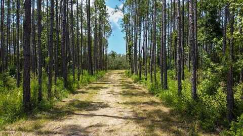 844th St, Steinhatchee, FL 32359